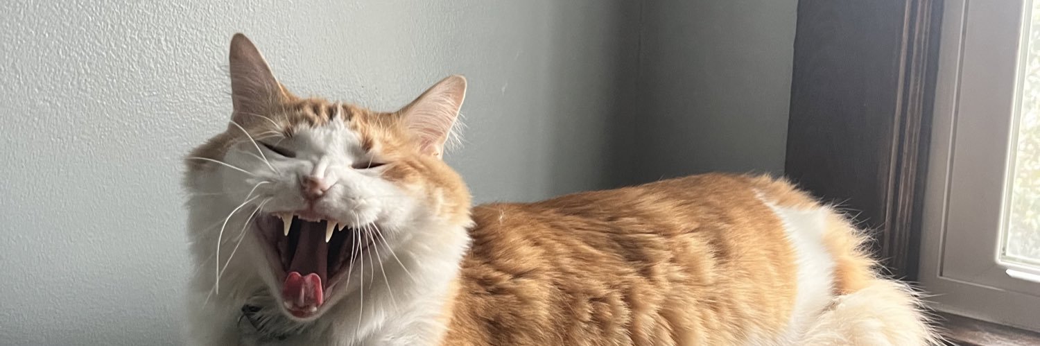 vickythump's profile banner image