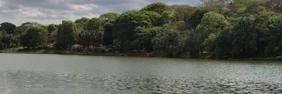 rickmg01's profile banner image