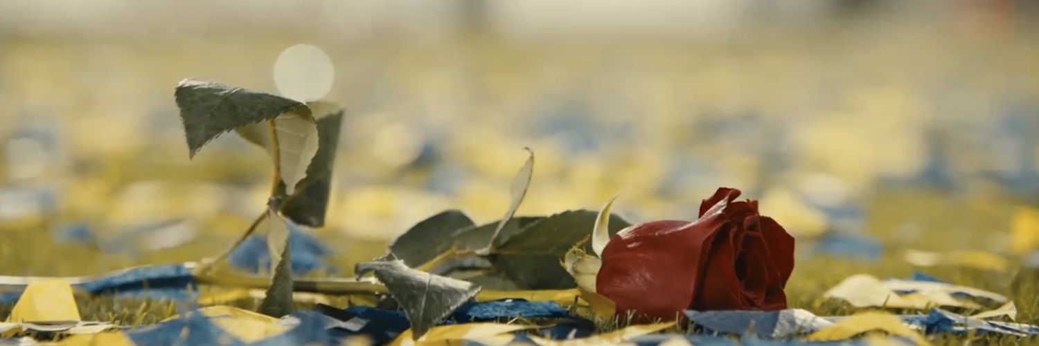 SDeebs8's profile banner image