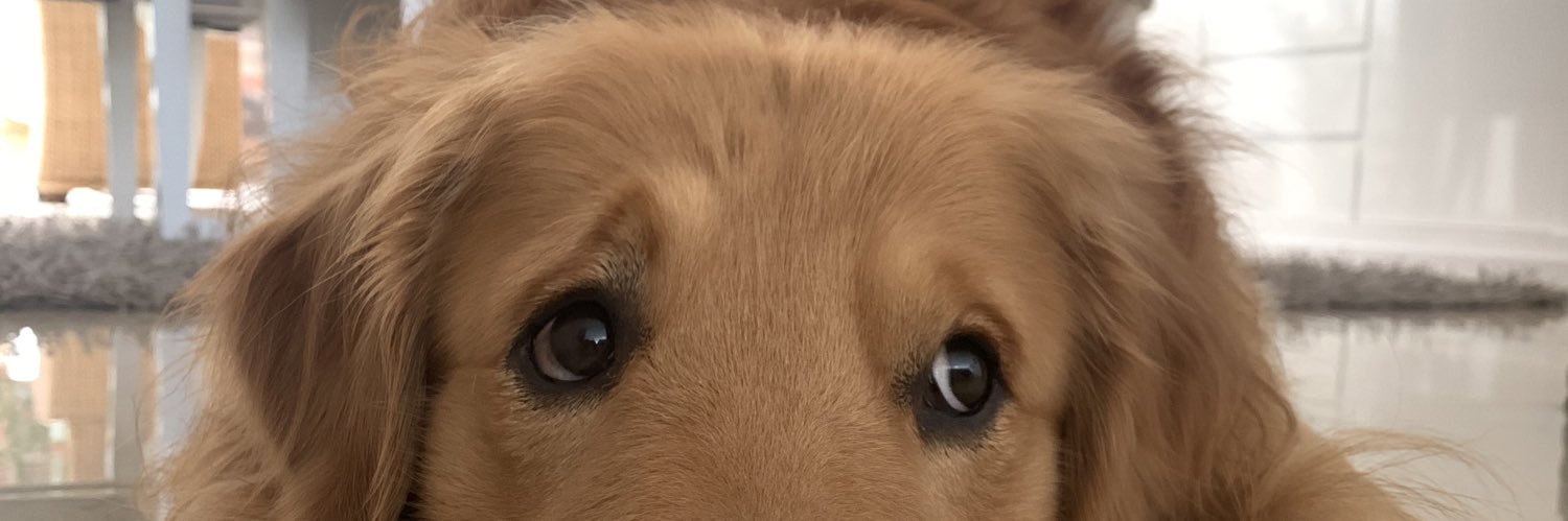 IsabellaO_99's profile banner image