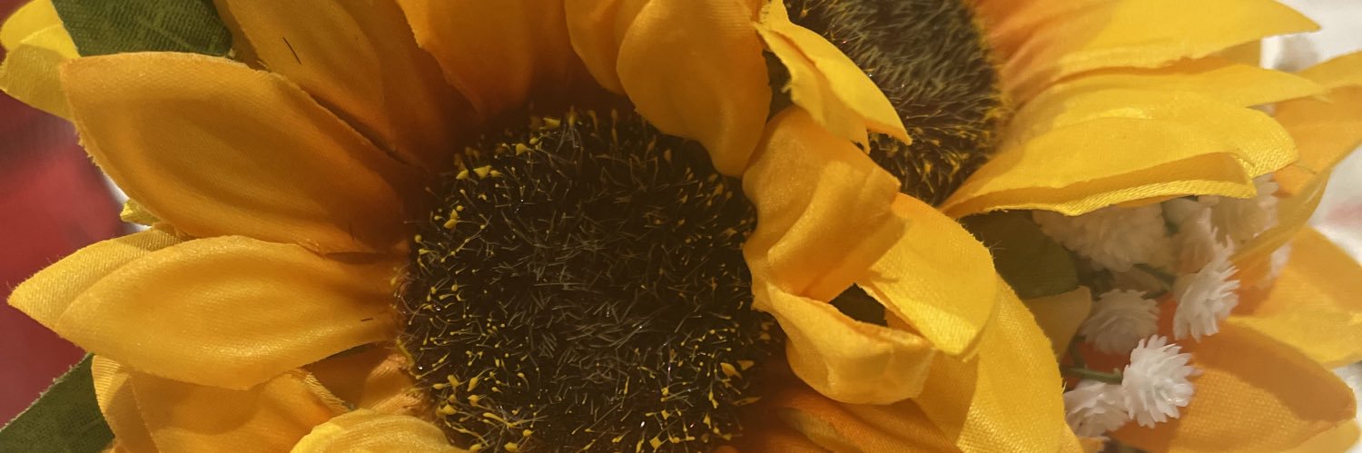 TraceAH's profile banner image
