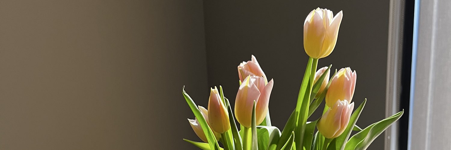 Khaccie's profile banner image