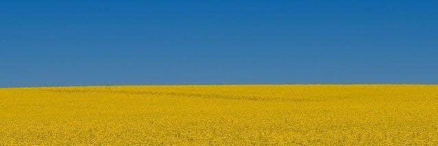 ocsack's profile banner image