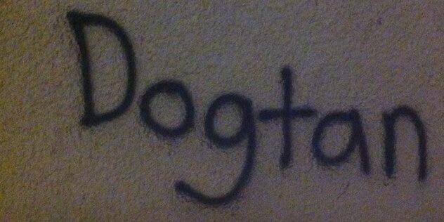 Dixie_Dogtan's profile banner image