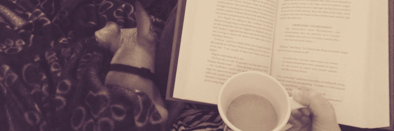 Hailey Schmidt banner