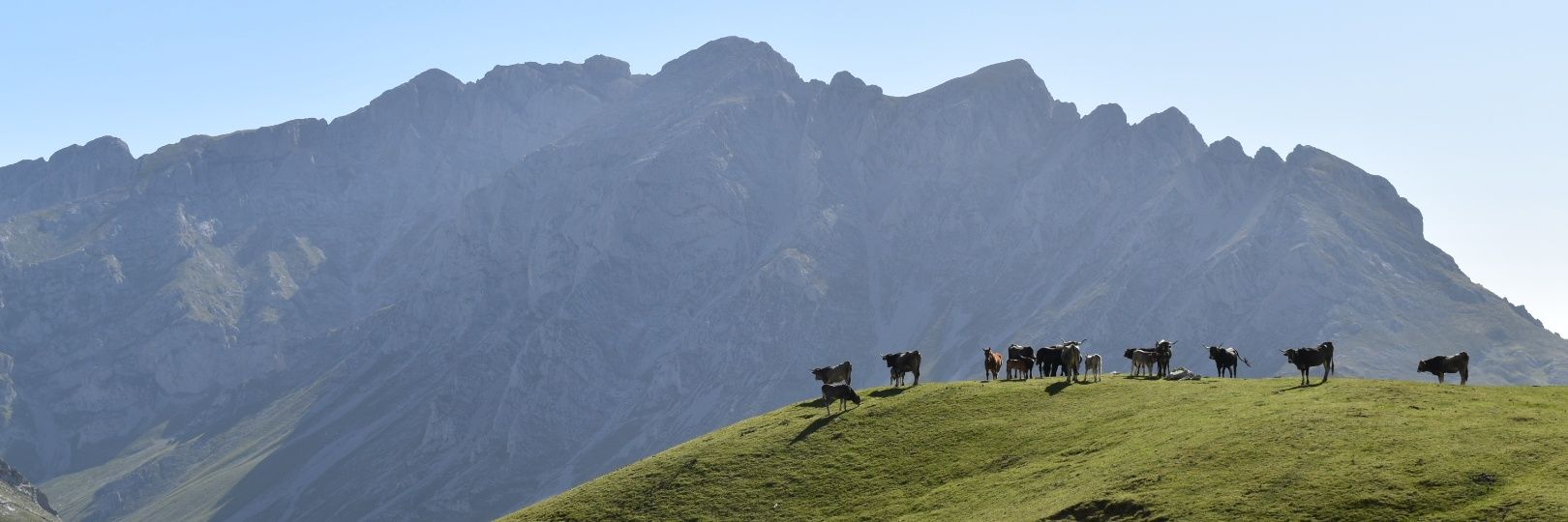 german_bg's profile banner image