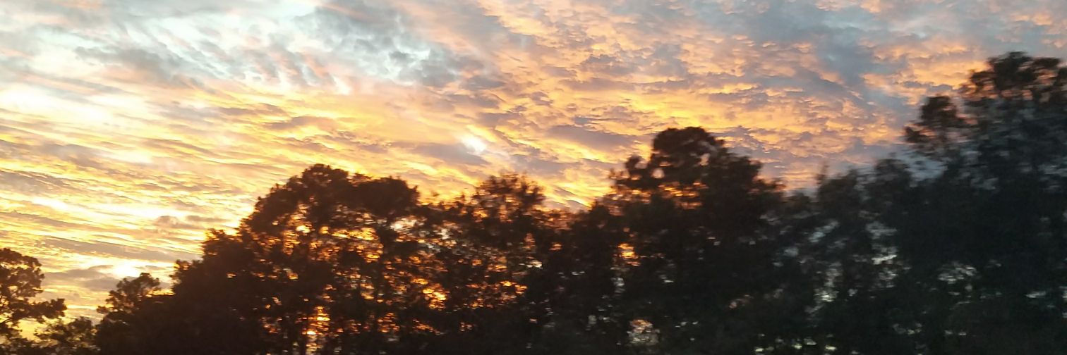 CallMe_Merk's profile banner image