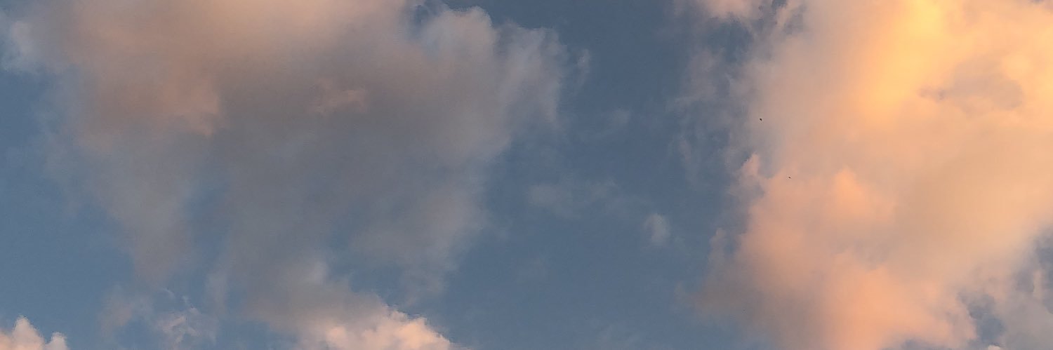 Marta MP banner