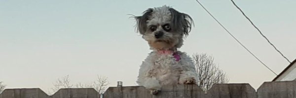scottohara Profile Banner