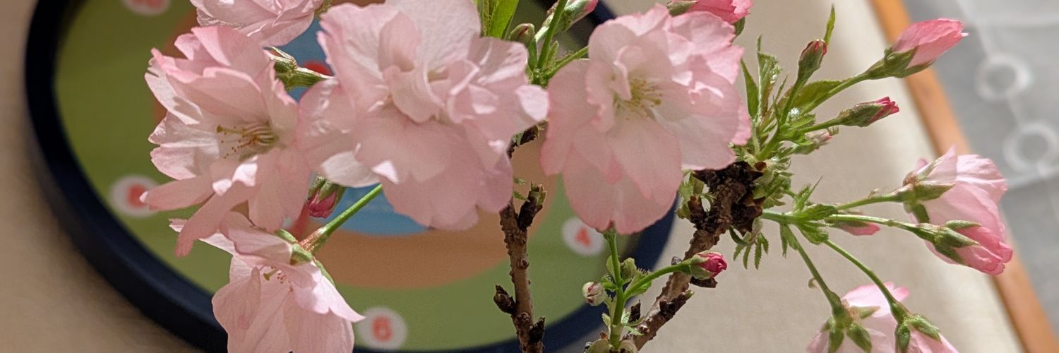 nm_zu_shi's profile banner image