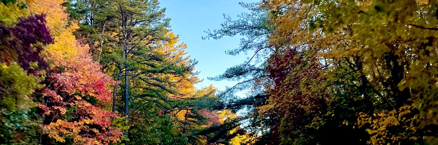 HannahCrowder98's profile banner image