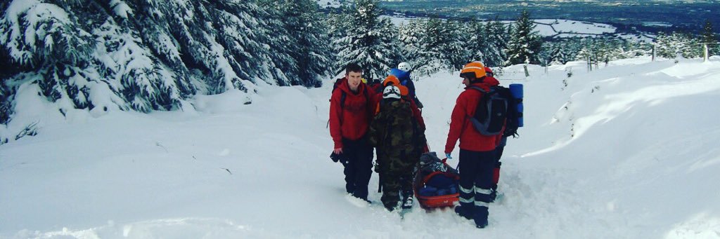 WEMSI-International banner