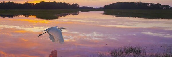 RA_Senior's profile banner image