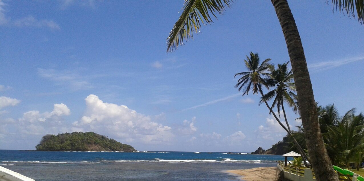 Alberto Lee Chang banner