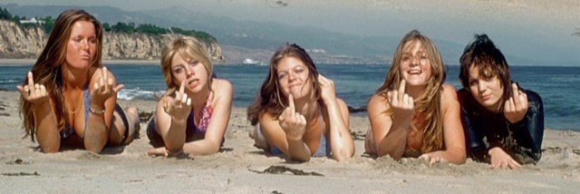 abbigailmerrell's profile banner image