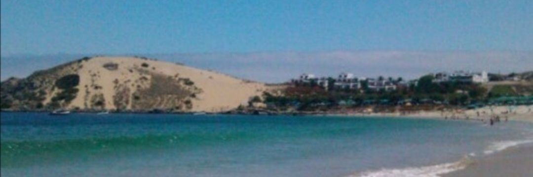 alberto banner