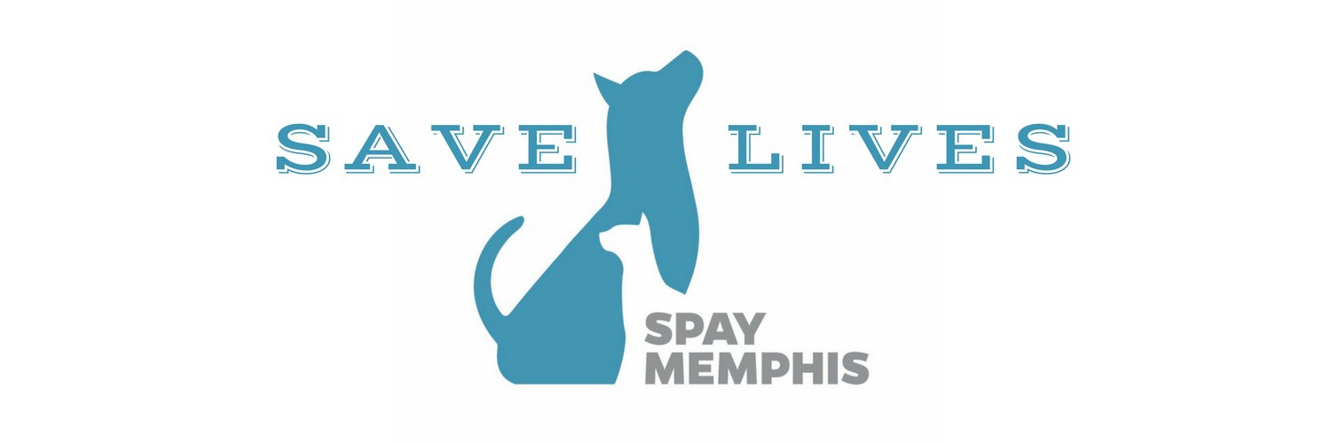 spaymemphis's profile banner image