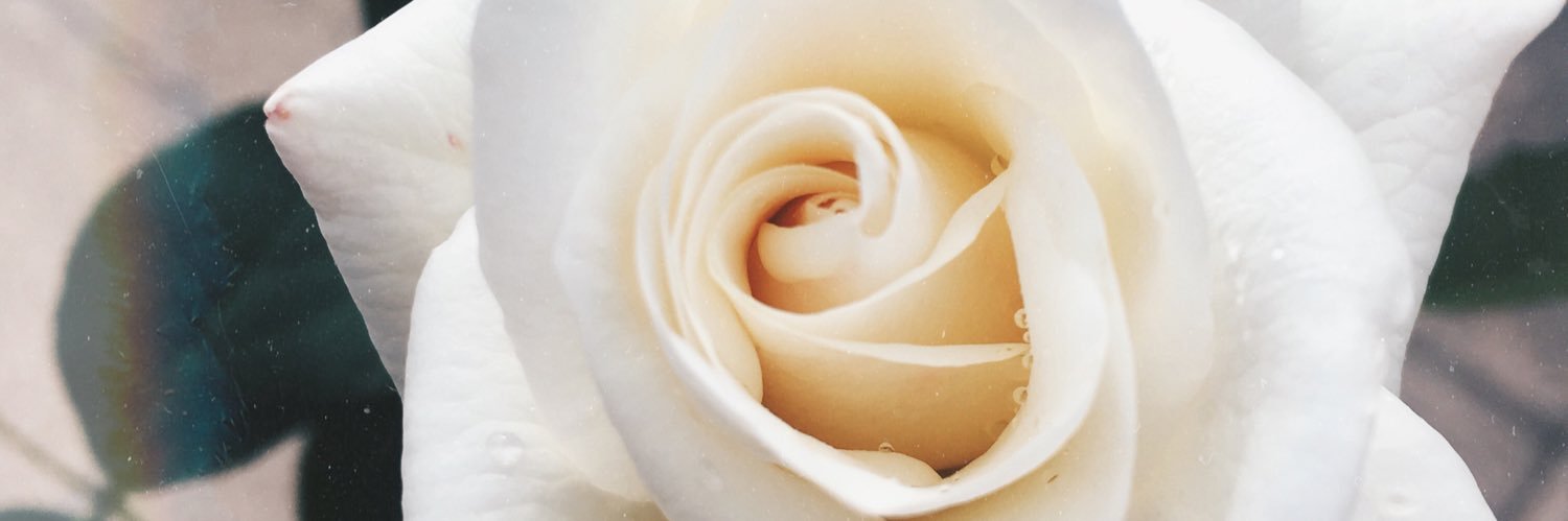 UxueBotas's profile banner image