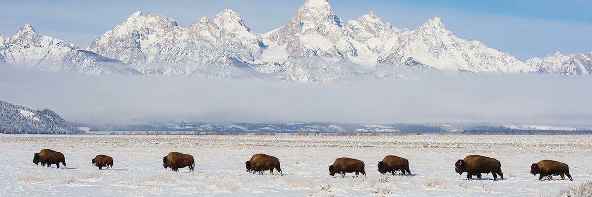 Fetissoff's profile banner image