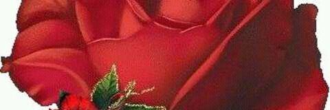 AmitMauryarbl's profile banner image