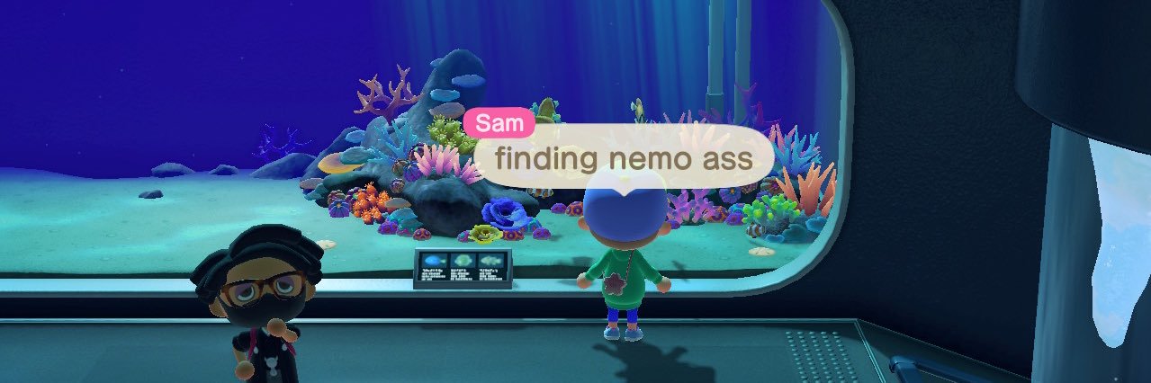 🅱️ird Dirt banner