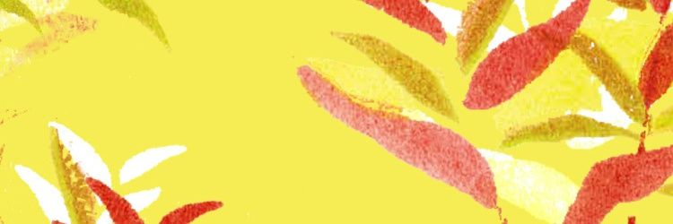 TomToyoneko's profile banner image