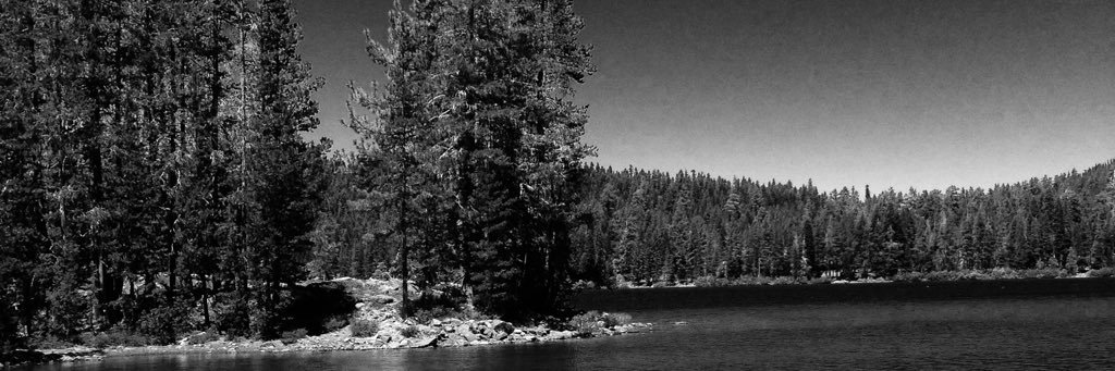 seth_r_c's profile banner image