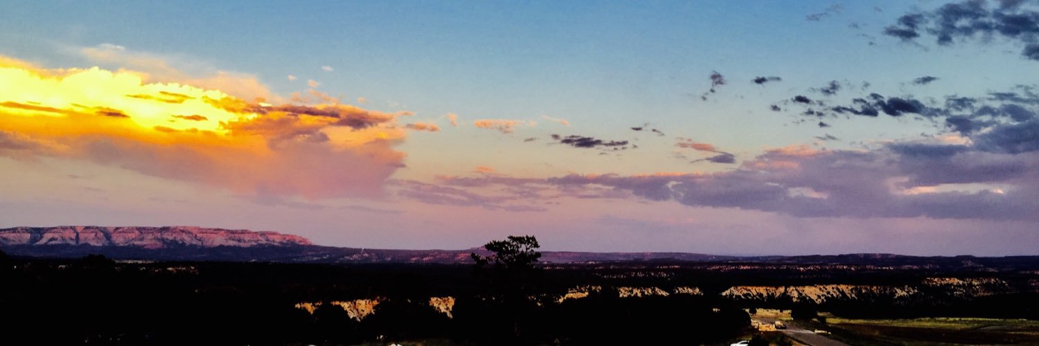 bailsane's profile banner image