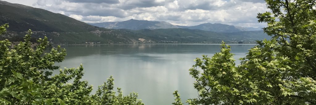 Dimitris Messinis banner