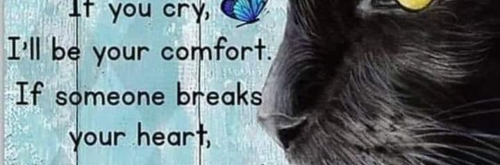 mikey the lonely one banner