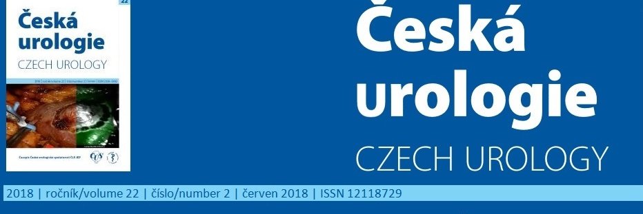 Czech urology banner