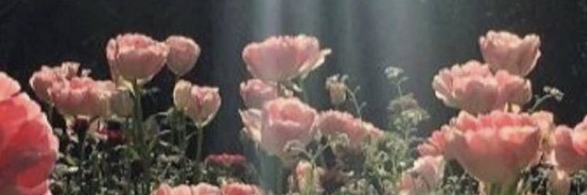 bloom_roots's profile banner image