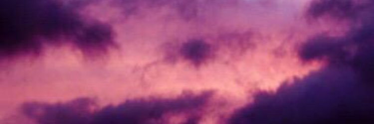 realMonsterMo's profile banner image