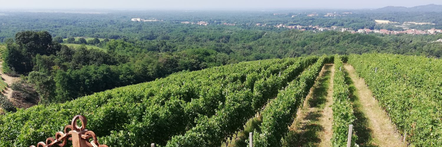 Harry Overvoorde banner