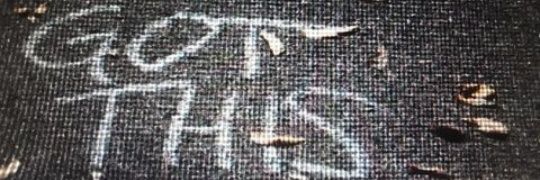 motsB's profile banner image