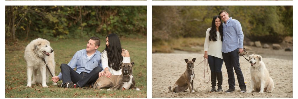 ashleycalston's profile banner image