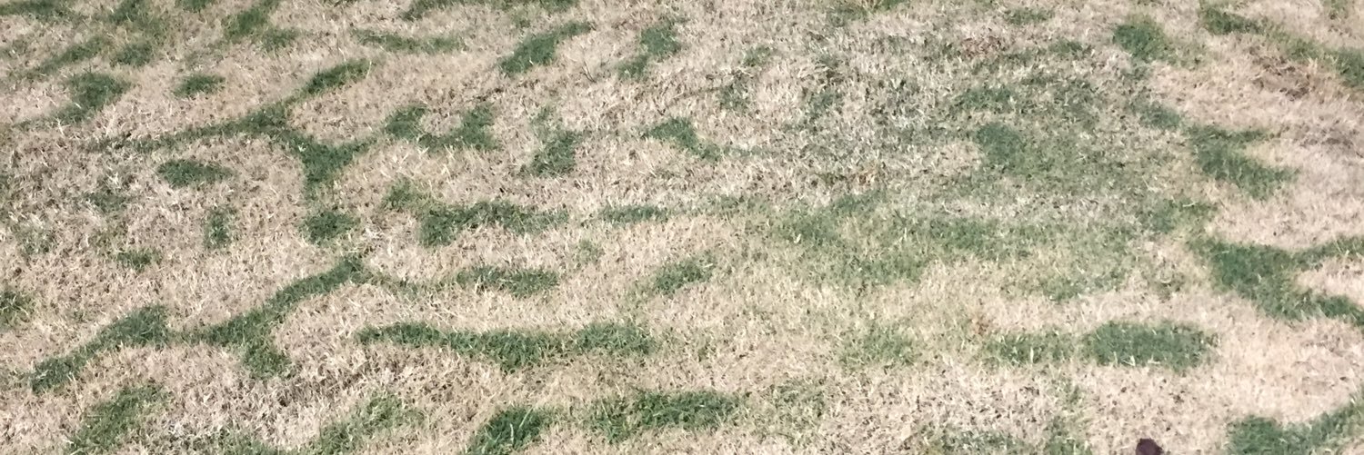 turf1996's profile banner image