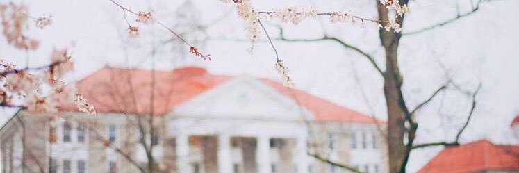 emilyharrell_'s profile banner image