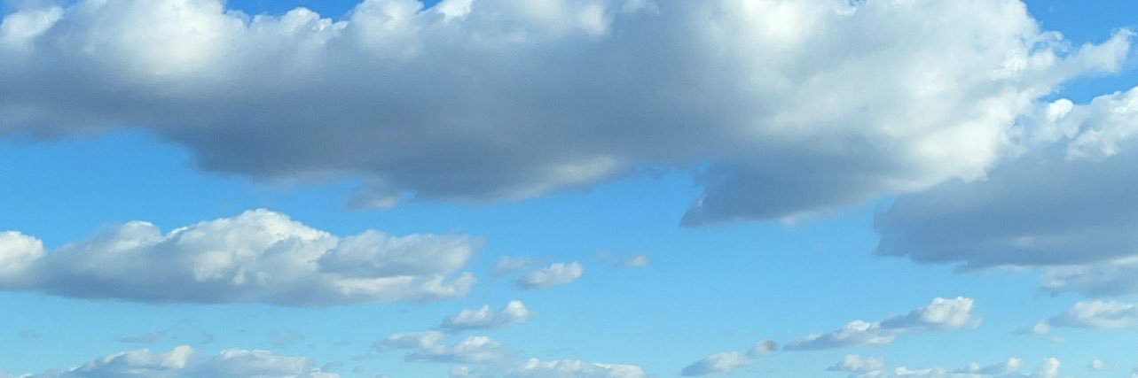 NorthXAfrican's profile banner image