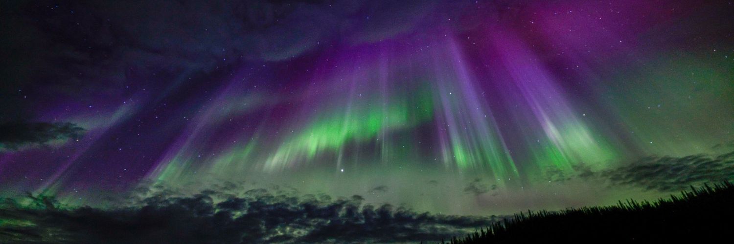 🇺🇦 🌻 🇨🇦 🧡 AB 📚 💉 😷🔬 🏈 🏳️‍🌈 Diane banner