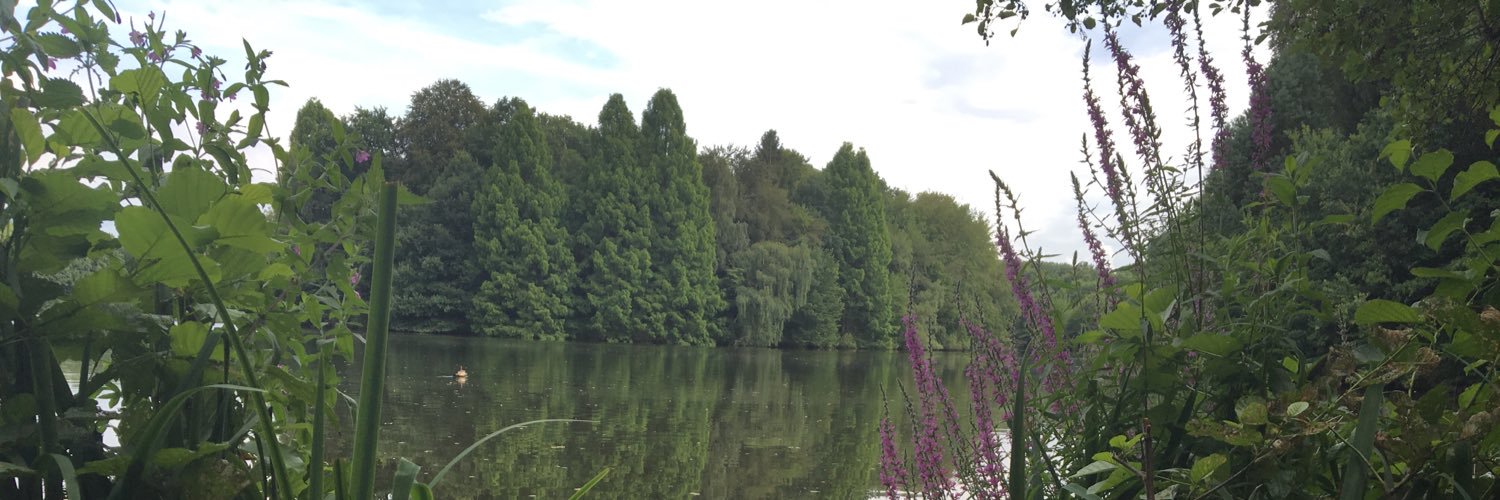 NicolasFuchs1's profile banner image