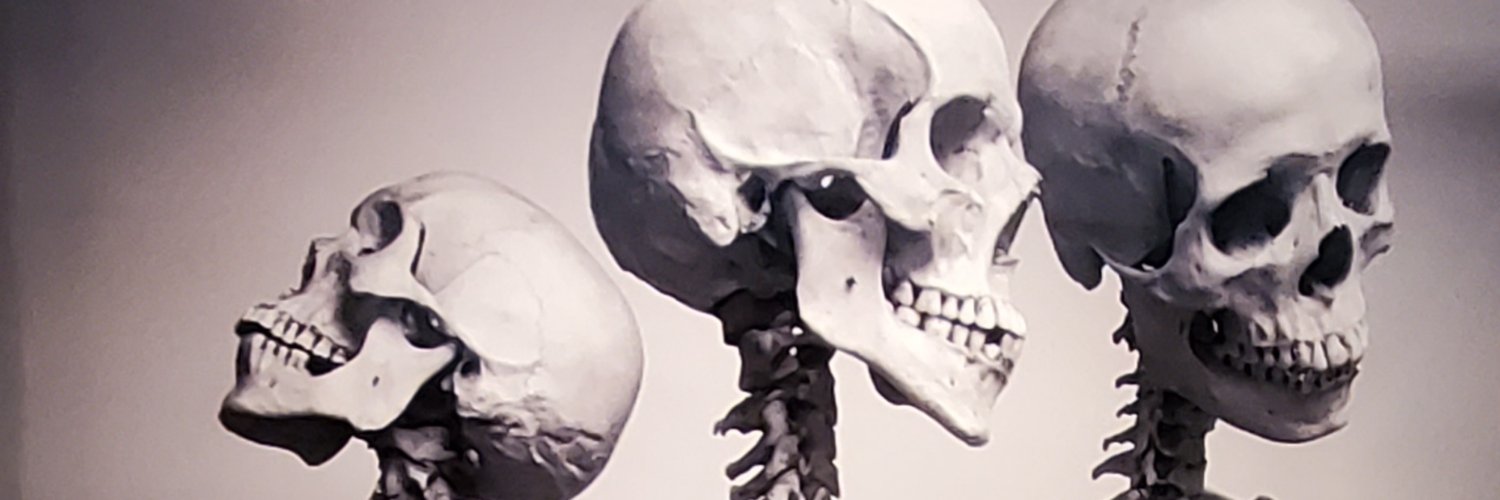 joshkiryu's profile banner image