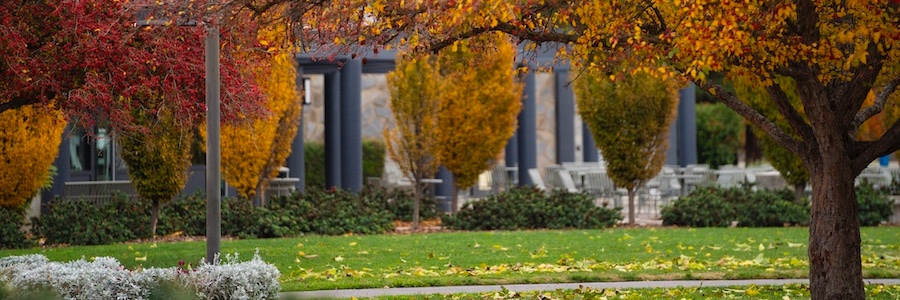 Stanislaus State banner
