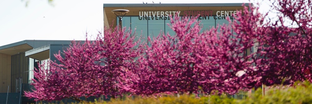 Stanislaus State banner