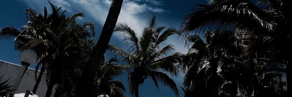 maraolvera_'s profile banner image
