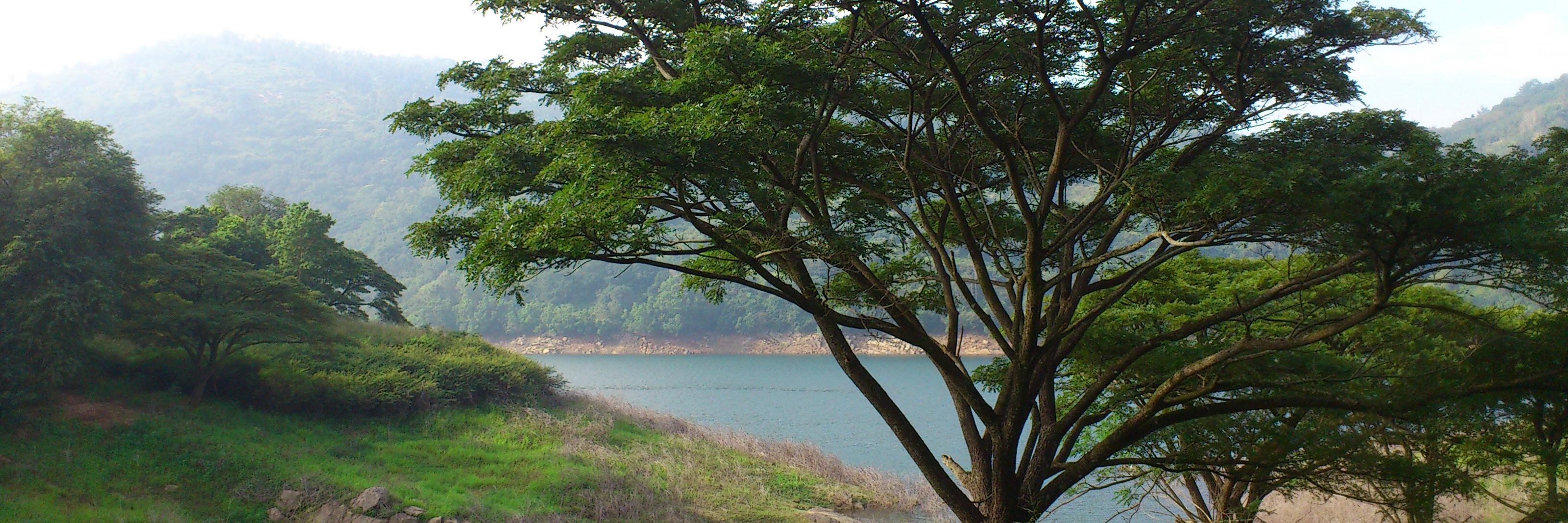 Chandima Cooray banner