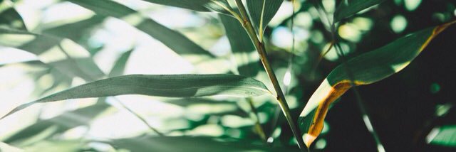 andrea_zml's profile banner image