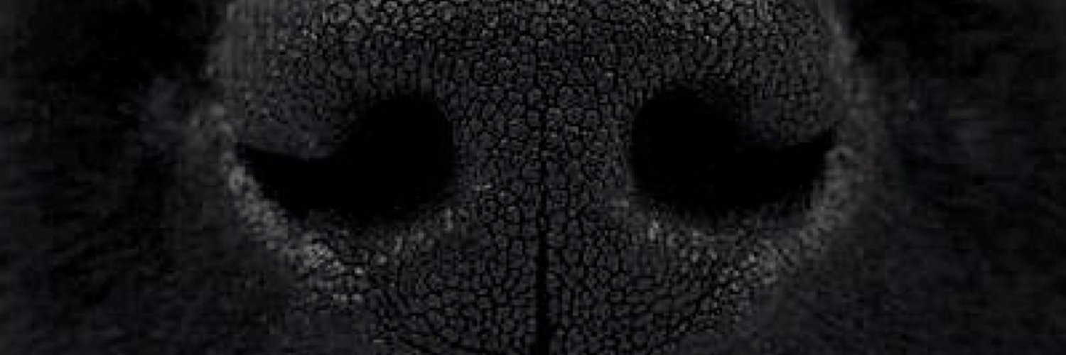 dennisdlambert's profile banner image