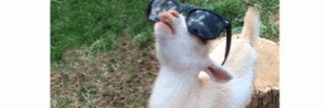 Victoria Zamora banner