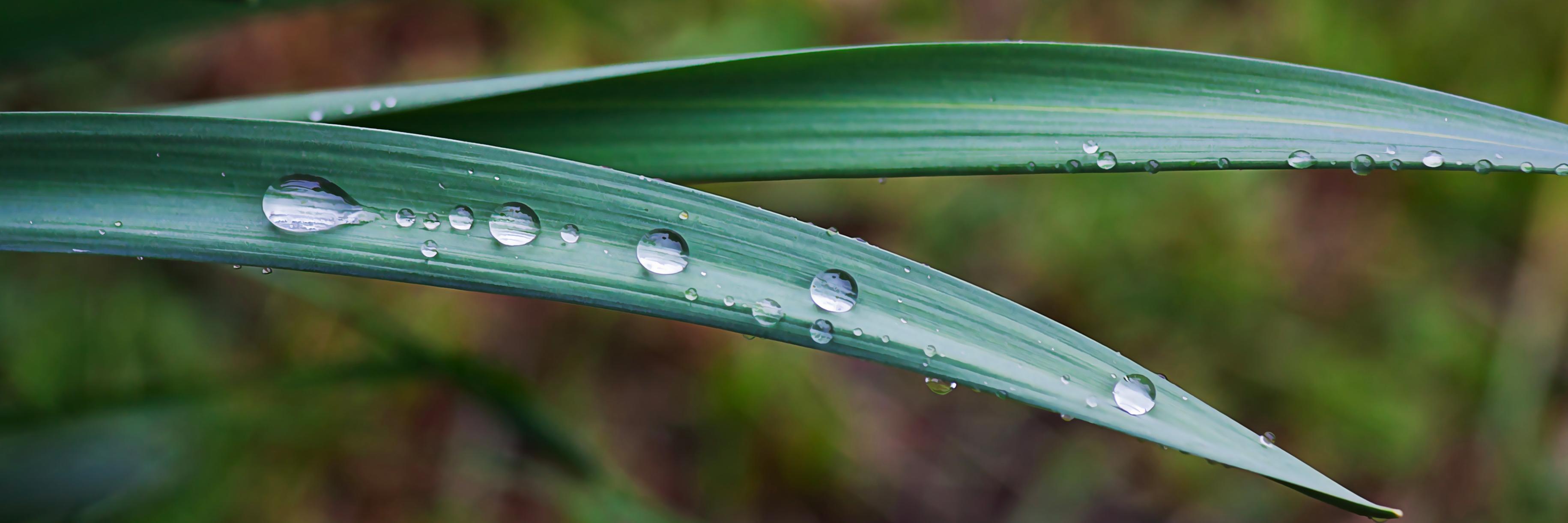 WaterBenefits's profile banner image